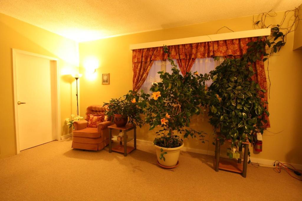 Villa Maria Country Inn Acheson Екстериор снимка