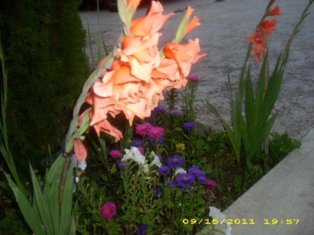 Villa Maria Country Inn Acheson Екстериор снимка